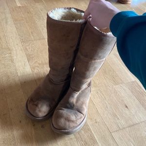 Tall Ugg Boots Chestnut